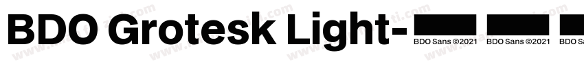 BDO Grotesk Light字体转换